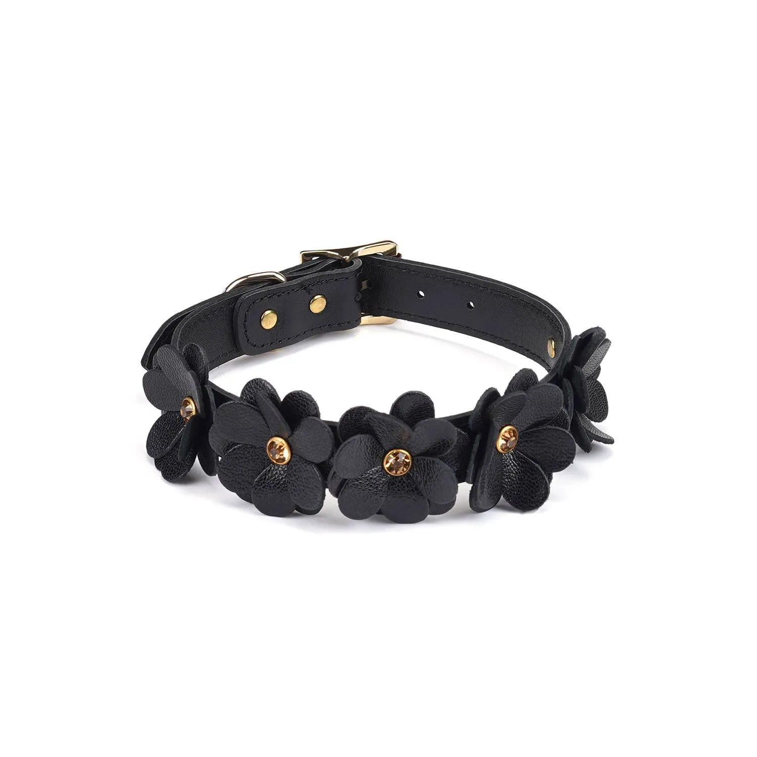 Black Leather Flowers Collar with Leash