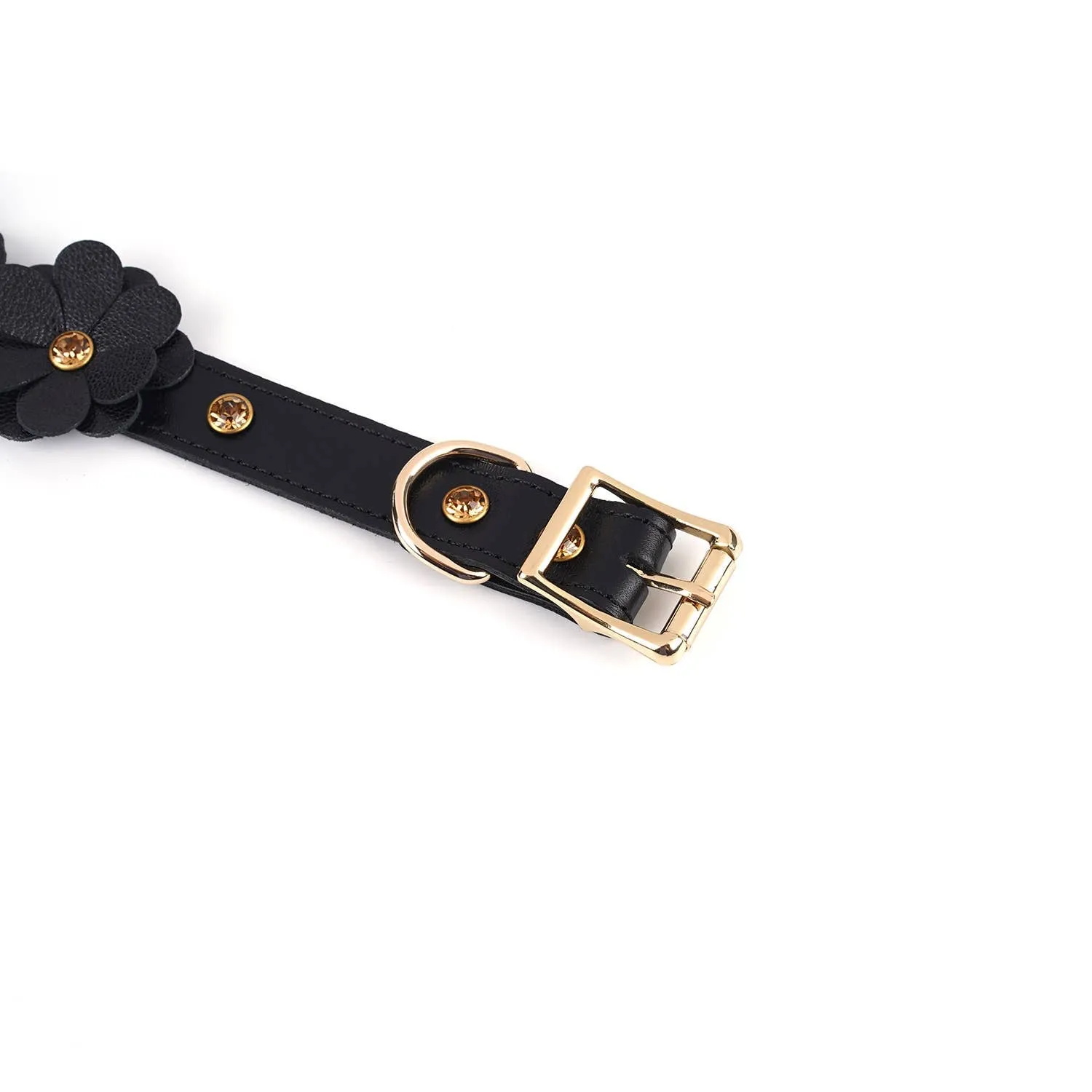 Black Leather Flowers Collar with Leash