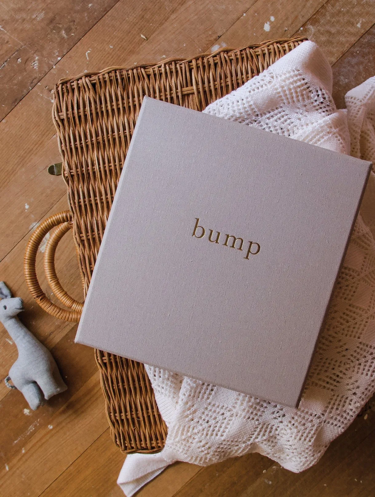 Bump. My Pregnancy Journal - Grey