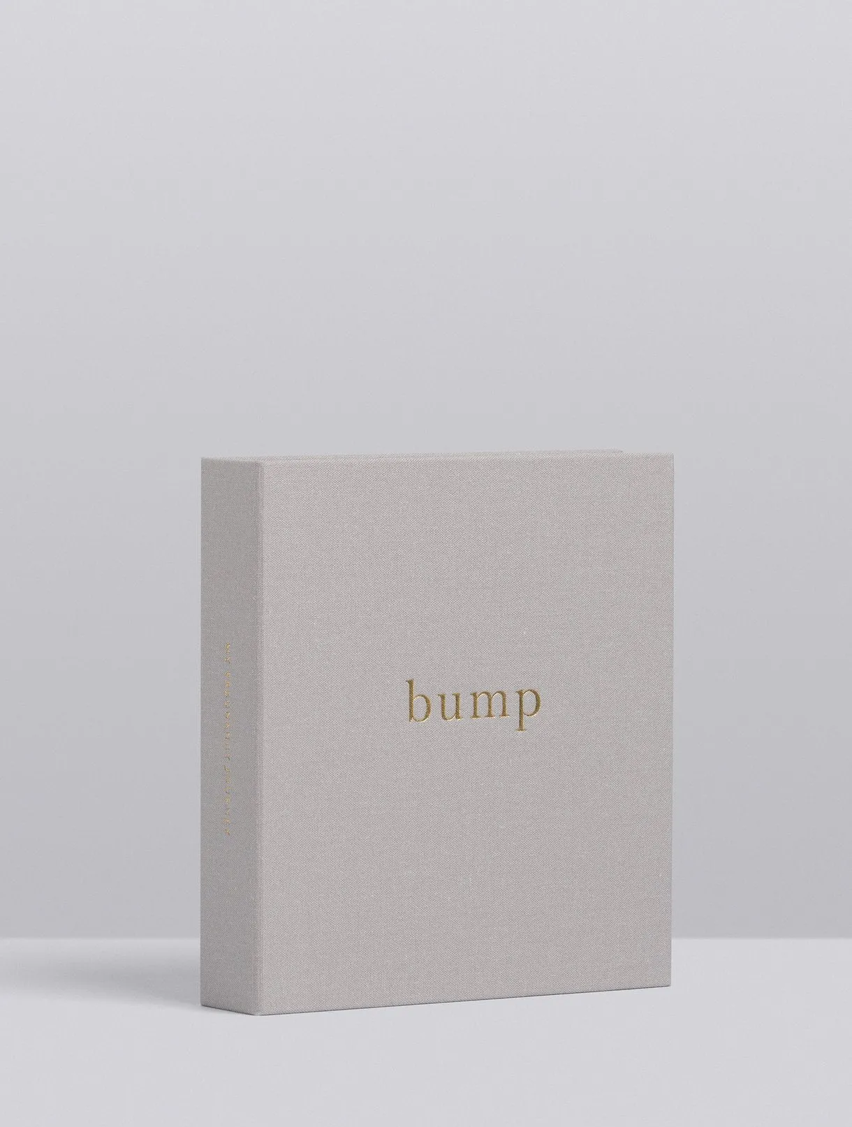 Bump. My Pregnancy Journal - Grey