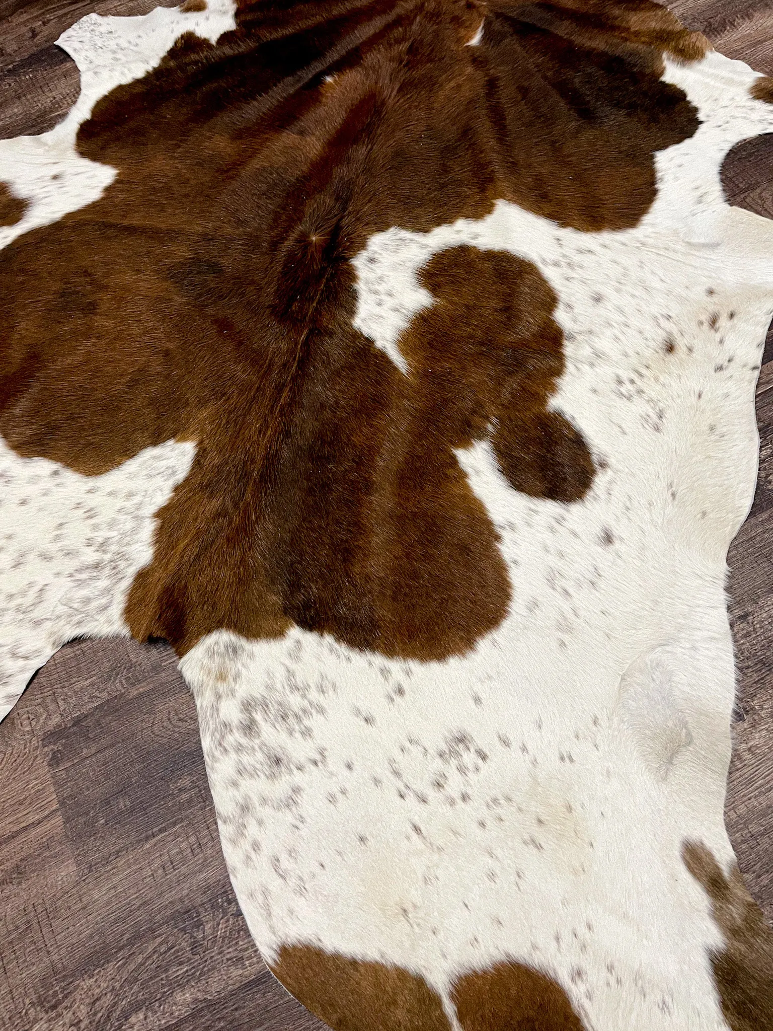 Columbian Brown/White Cow Hide