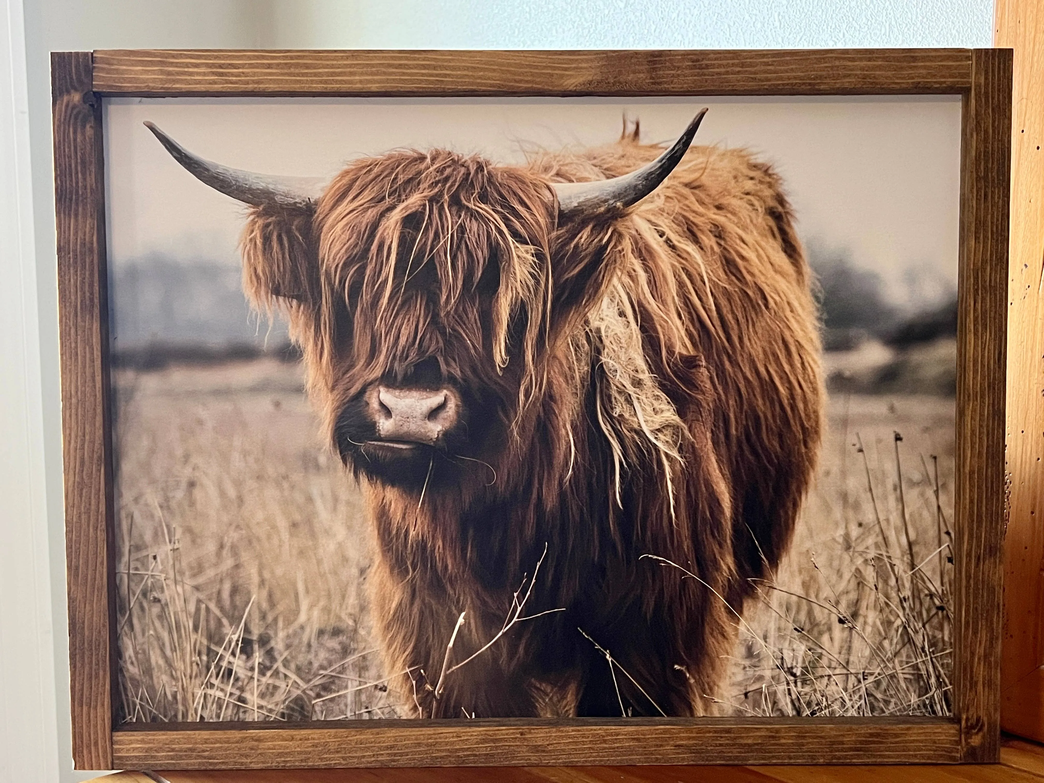 Highland Cow Color: 6x8 / Jacobean