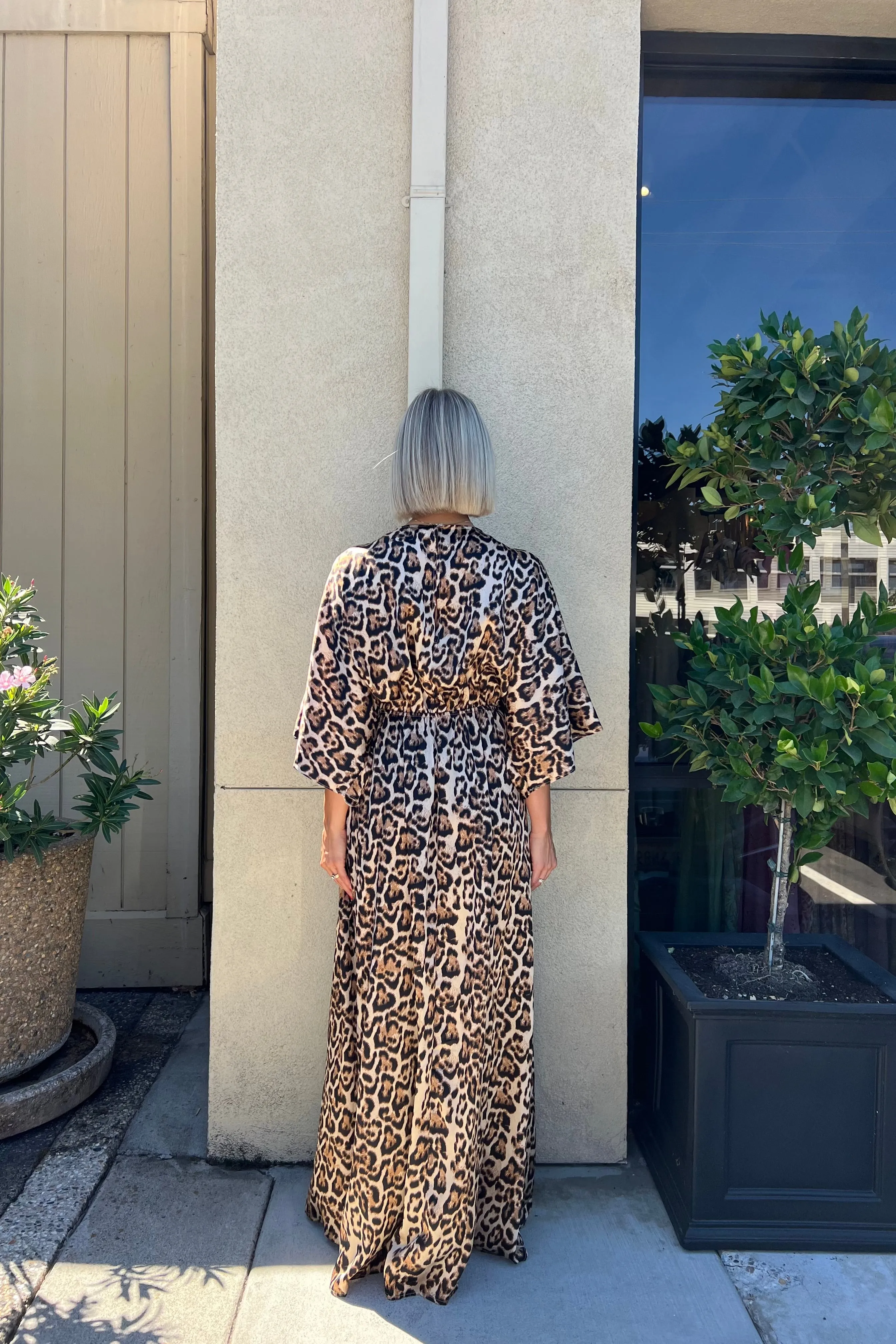 LIANE ANIMAL PRINT DRESS