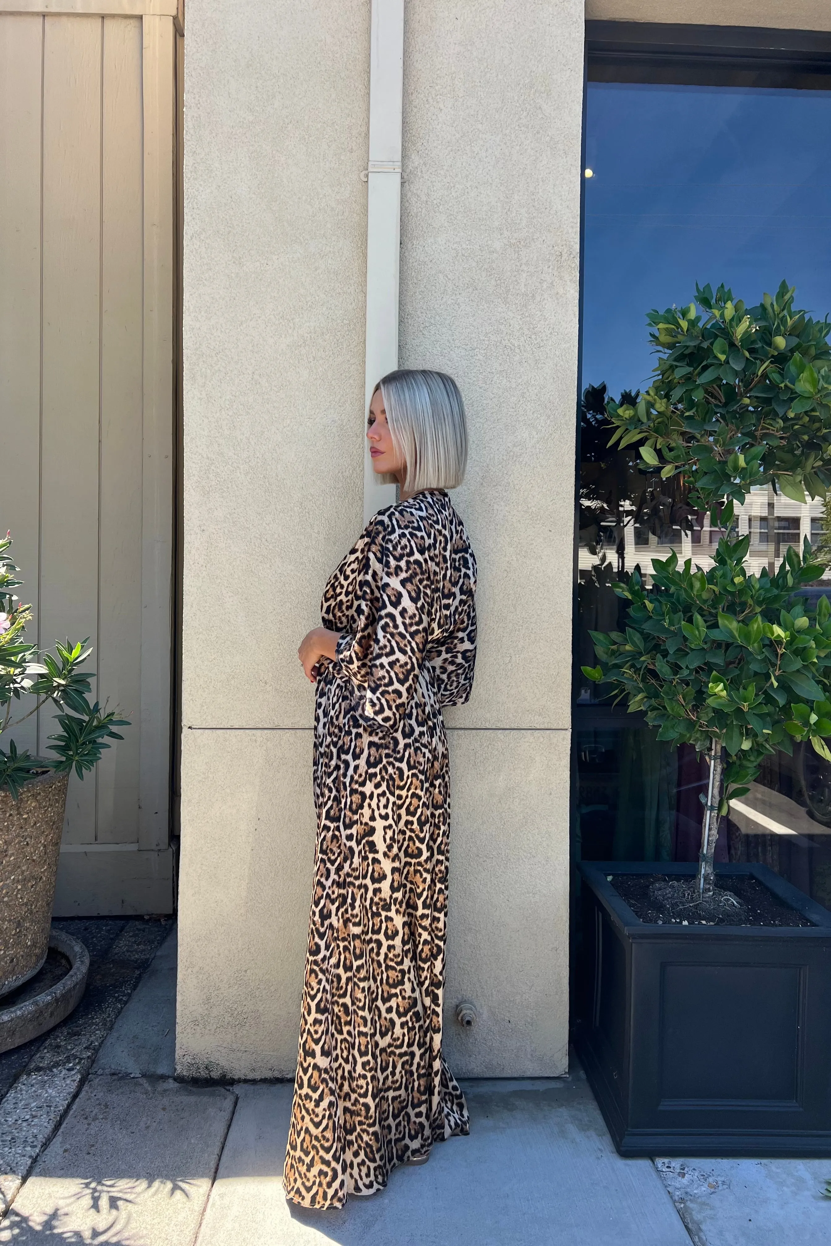 LIANE ANIMAL PRINT DRESS